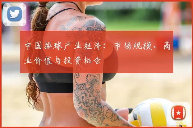 中国排球产业经济：市场规模、商业价值与投资机会