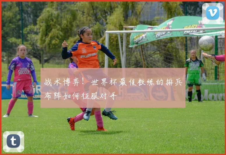 战术博弈！世界杯最佳教练的排兵布阵如何征服对手