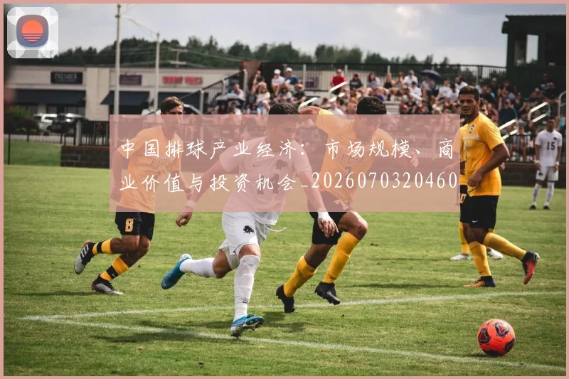 中国排球产业经济：市场规模、商业价值与投资机会_20260703204606