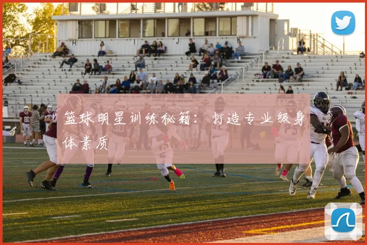 篮球明星训练秘籍：打造专业级身体素质