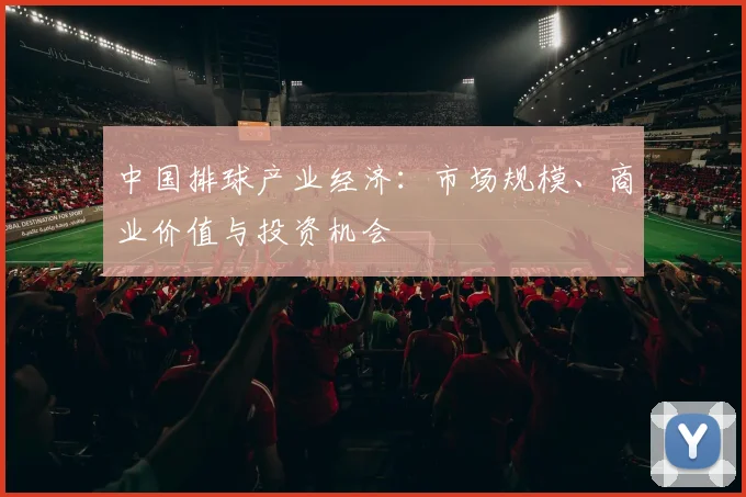 中国排球产业经济：市场规模、商业价值与投资机会